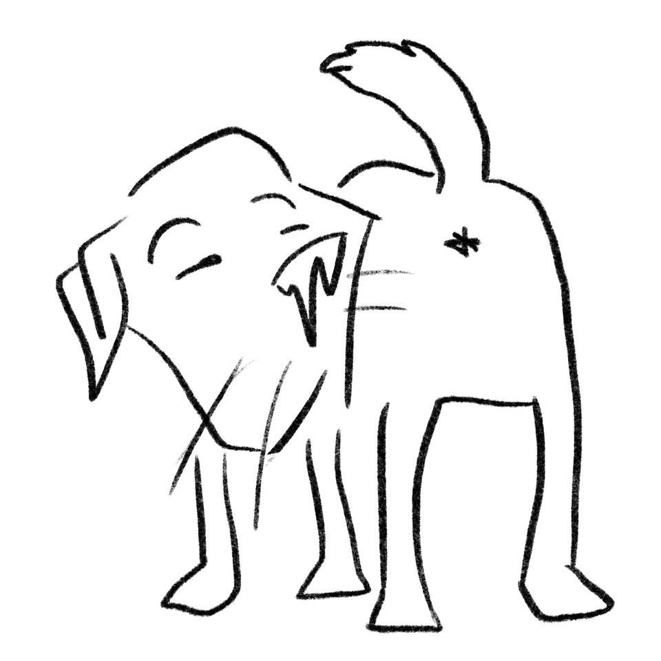 Toons